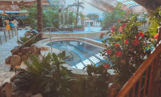 Ein tropisches Paradies im h2o schwimmbad mit Palmen, üppiger Vegetation und einem einladenden Poolbereich.