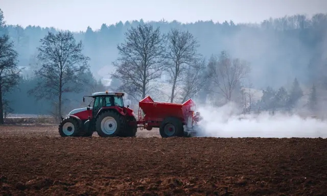 Czerwony traktor z przyczepą rozsypuje nawóz na polu. To przygotowanie gleby, by warzywa lubiące wapnowanie, jak pomidory czy kapusta, dobrze rosły.