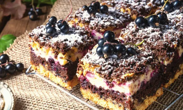 Pyszne ciasto pleśniak z warstwami czekoladowego ciasta, kremu i czarnych porzeczek, posypane cukrem pudrem i świeżymi owocami.