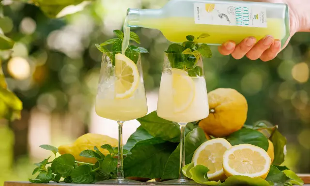 Zwei Gläser mit erfrischendem Limoncello Spritz, garniert mit Zitrone und Minze. Frische Zitronen und Blätter umgeben die Gläser.