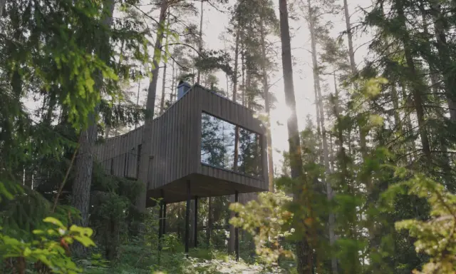 Modernt naturhotell i Sverige, inbäddat bland höga tallar. En arkitektonisk pärla som smälter samman med skogens lugn.