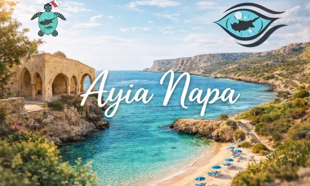 Piękna zatoka z turkusową wodą, piaszczysta plaża z leżakami i parasolami, ruiny budowli i klify. Ayia Napa atrakcje zapraszają!
