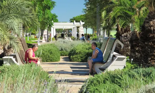 Due donne sedute su panchine in un parco curato, con palme e vegetazione rigogliosa, in una giornata di sole a Riccione centro.