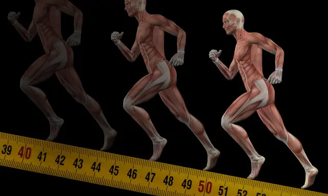 Anatomia biegu: jakie mięśnie pracują podczas biegania. Trzy sylwetki biegaczy ukazujące pracujące mięśnie, na tle miarki.