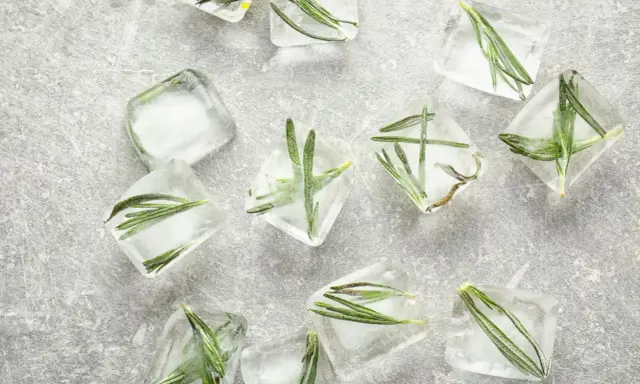 Rosmarin einfrieren: Frische Kräuter in Eiswürfeln für aromatische Cocktails und Gerichte.