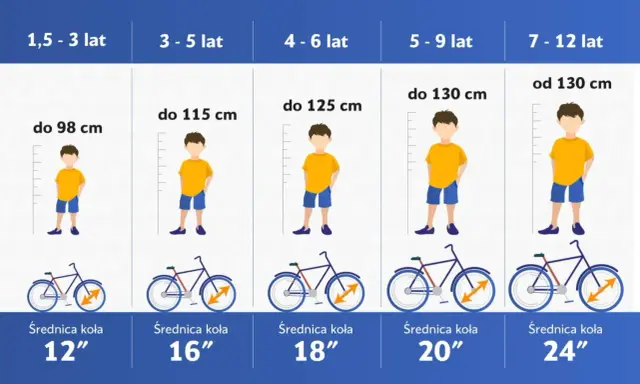 Tabela rozmiarów rowerów dla dzieci: rama 54 cm na jaki wzrost? Od 130 cm wzrostu, dla dzieci 7-12 lat, koła 24".