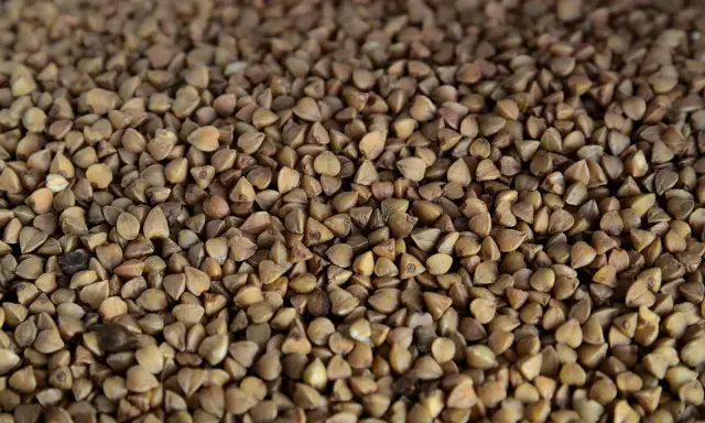 Grains de sarrasin bruns, parfaits pour une alimentation saine. La farine de sarrasin est une excellente source de nutriments et ses calories sont raisonnables.