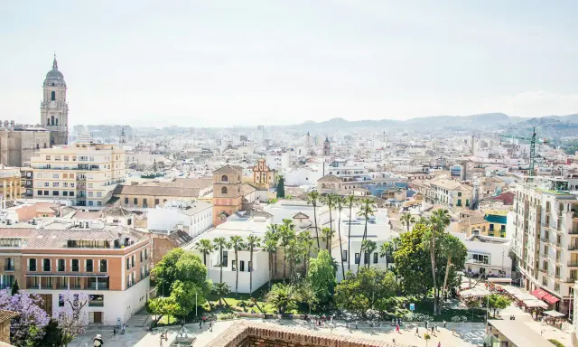 Blick über die Dächer von Malaga, mit dem markanten Glockenturm der Kathedrale und Palmen. Der malaga hafen ist in der Ferne zu erahnen.