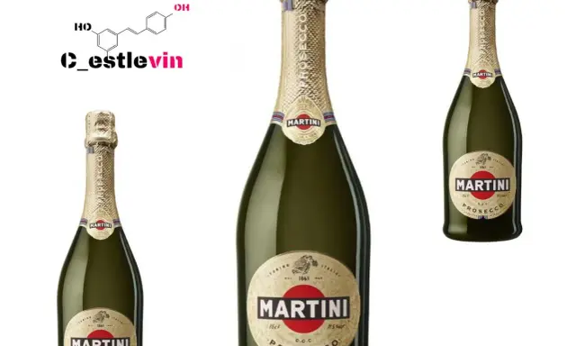 Prosecco: Jakie to wino? Rodzaje, smaki, sekrety przewodnik!