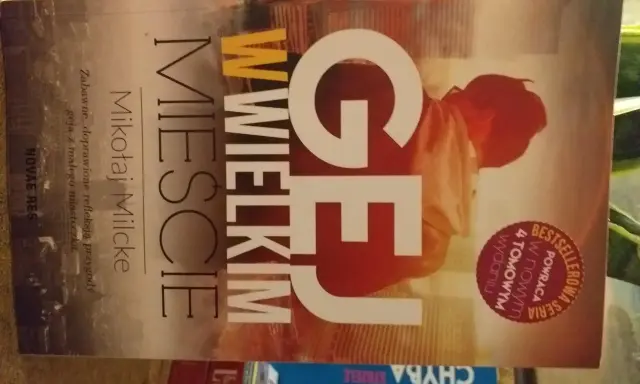Okładka książki "Gej w wielkim mieście" Mikołaja Mićke. Zabawne przygody geja z małego miasteczka.