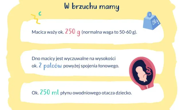 W brzuchu mamy, macica waży ok. 250 g. Dno macicy jest na wysokości 2 palców nad spojeniem łonowym. Dziecko otacza 250 ml płynu.