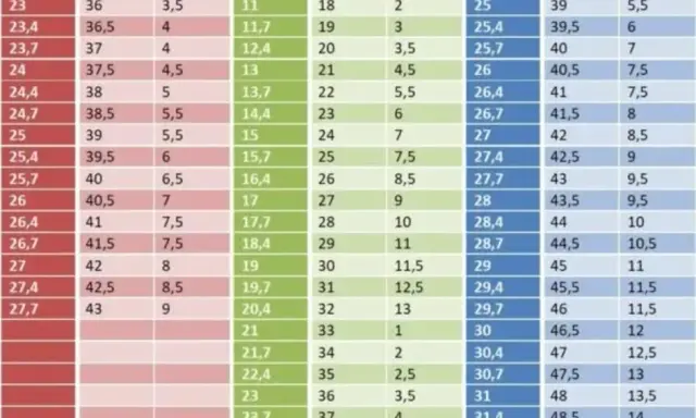 Rozmiar 11 US na EU: Przelicznik Męski, Damski, Dziecięcy