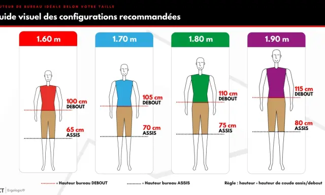 Guide visuel des configurations : la norme hauteur poste de travail debout varie selon votre taille, de 100 cm à 115 cm.