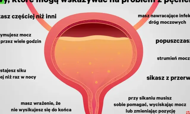 Objawy problemów z pęcherzem: częste oddawanie moczu, trudności z opróżnianiem, słaby strumień. Prowadzenie dzienniczka mikcji pomoże zdiagnozować problem.