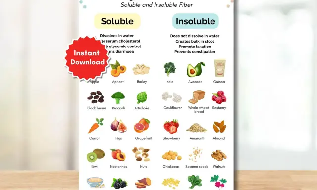 Infographie sur les aliments riches en fibres, distinguant les fibres solubles (dissolvant dans l'eau, bénéfiques pour le cholestérol et le contrôle glycémique) des fibres insolubles. Elle illustre divers fruits, légumes et céréales.