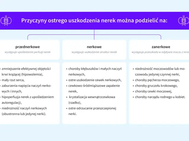 Schemat przyczyn ostrego uszkodzenia nerek (AKI): przednerkowe, nerkowe i zanerkowe.
