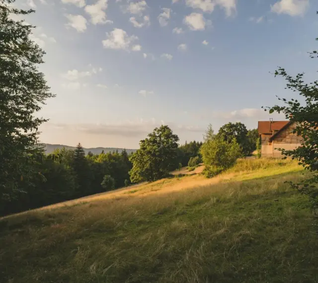 Słoneczny stok z domkiem w lesie. Zastanawiasz się, ile kosztuje ar działki budowlanej w takim miejscu?