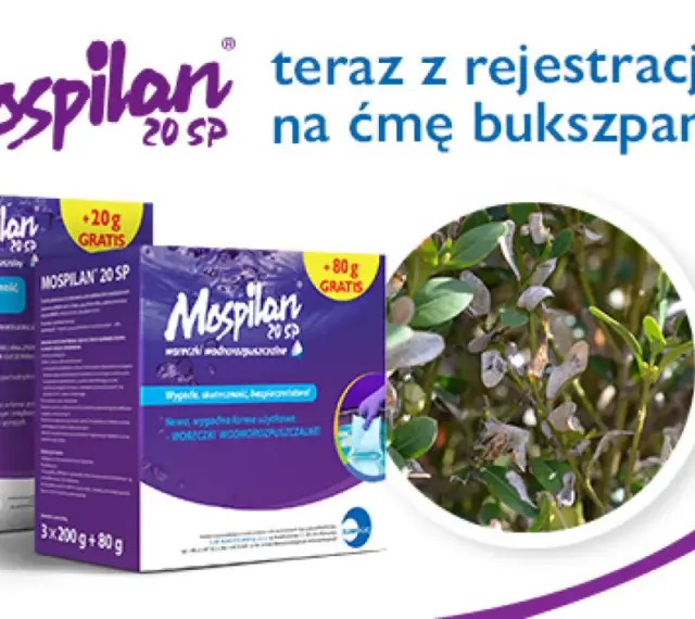 Mospilan na ćmę bukszpanową. Zwalcz szkodniki skutecznie i bezpiecznie. Opakowania z gratisem.