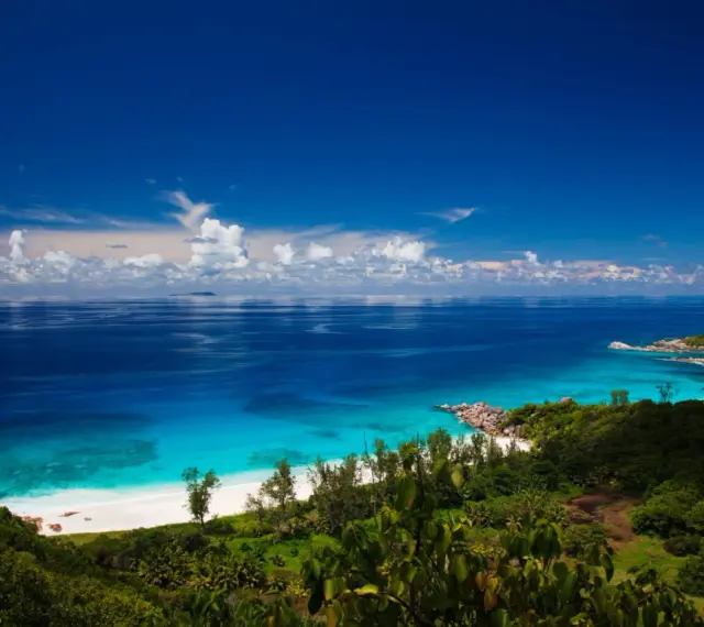 Zanzibar jaki ocean? Błękitne wody Oceanu Indyjskiego oblewają rajską plażę z białym piaskiem, otoczoną bujną zielenią.