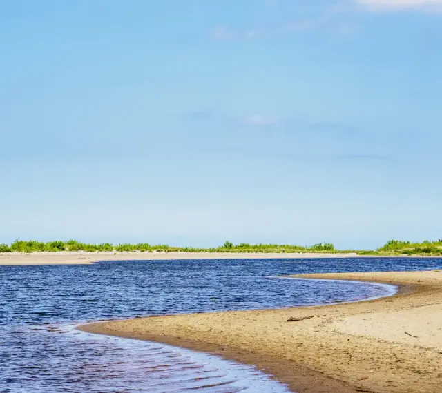 Szeroka, piaszczysta plaża i spokojne wody w miejscu, gdzie Wisła wpada do morza. Zielone zarośla na horyzoncie.