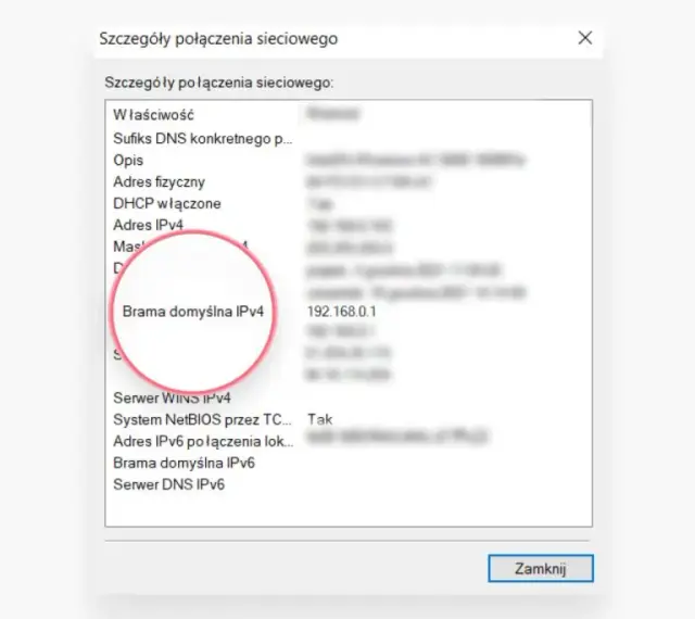 Szczegóły połączenia sieciowego: Brama domyślna IPv4 to adres IP routera 192.168.0.1.