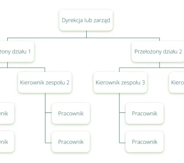 Schemat przedstawia strukturę organizacyjną firmy: Dyrekcja, Przełożeni działów, Kierownicy zespołów i Pracownicy.