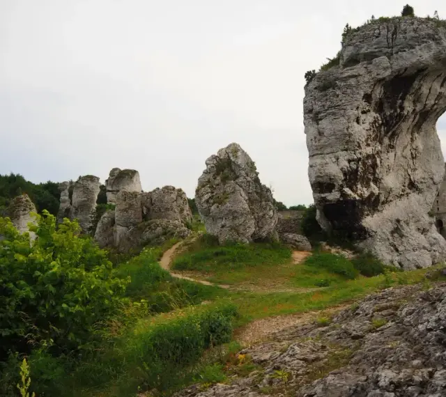 Skały wapienne na wyżynie krakowsko-częstochowskiej, z ruinami zamku w tle.