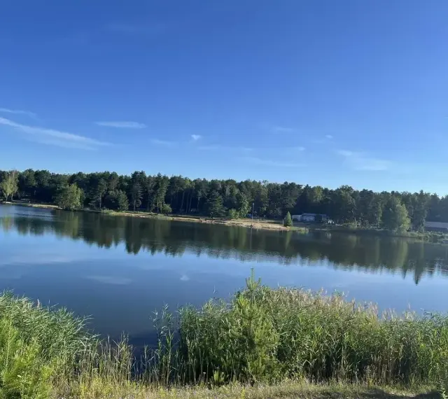 Spokojne jezioro z lasem w tle, idealne na wypoczynek. To jedno z fajnych miejsc na Śląsku, gdzie można odpocząć od miejskiego zgiełku.