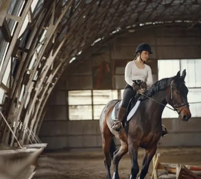 Une cavalière en tenue d'équitation monte un cheval brun dans un manège couvert. Le cheval est au trot, prêt pour une séance de demi pension cheval.