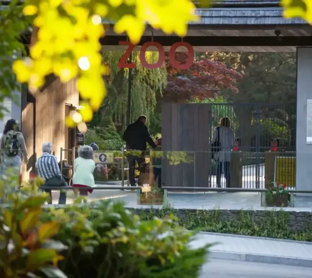 Wejście do zoo w Polsce. Ludzie wchodzą przez bramę, a nad nimi wisi napis "ZOO".