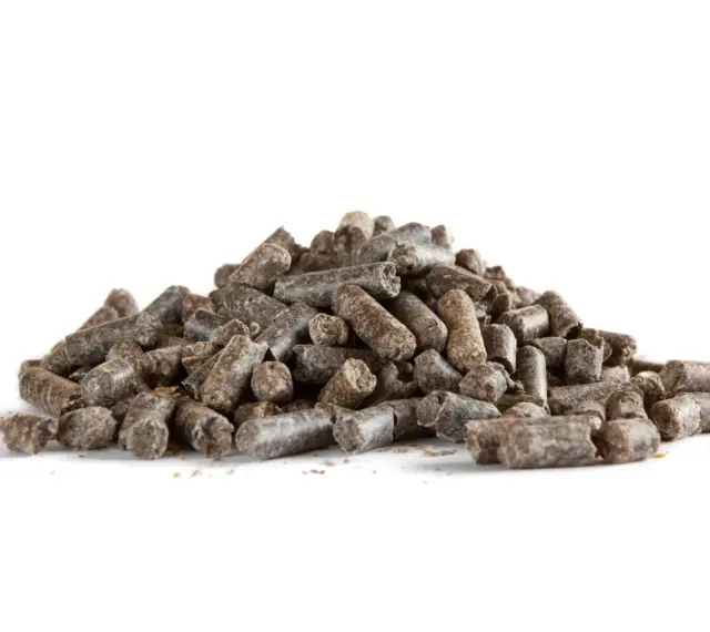 Un tas de pulpe de betterave cheval, des granulés sombres et secs, prêts à être distribués.