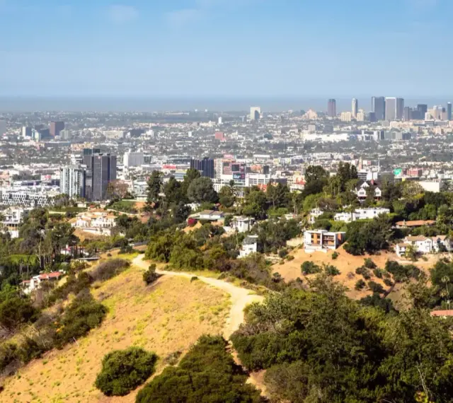 Widok na Los Angeles, miasto śmierci, z wzgórz porośniętych suchą trawą i drzewami. W oddali widać drapacze chmur.