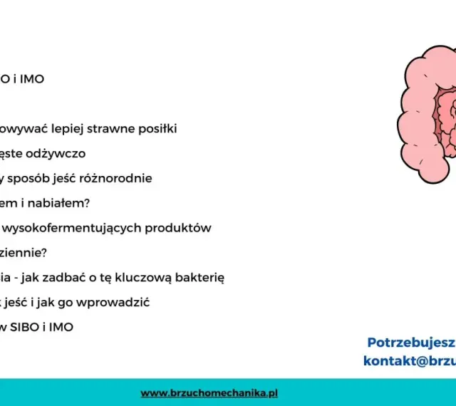 Ilustracja przedstawia jelita, które mogą być powiązane z **sibo przyczyny**. Spis treści omawia dietoterapię i sposoby radzenia sobie z problemami jelitowymi.