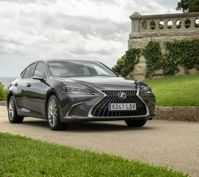 Elegancki, ciemnoszary Lexus 300h na tle kamiennego muru porośniętego bluszczem i zielonej trawy.
