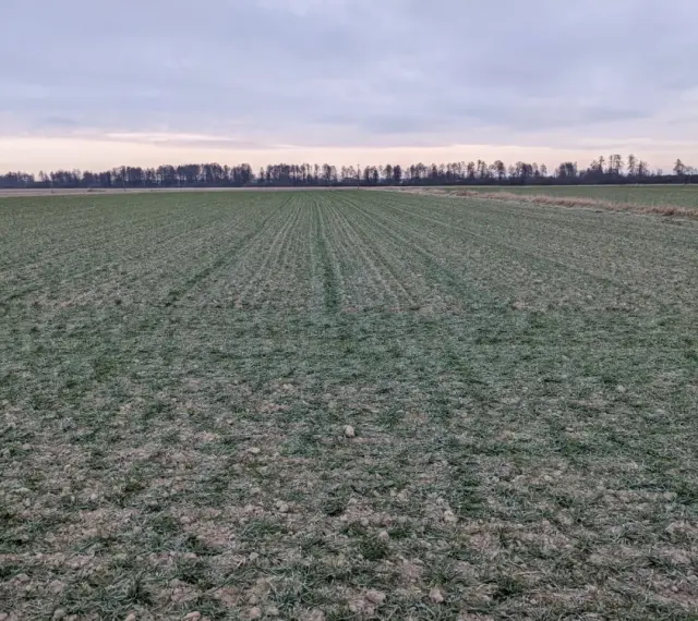 Zimowy krajobraz pól uprawnych na Lubelszczyźnie. Wartość ziemi rolnej w tym regionie jest kluczowa dla rolników.