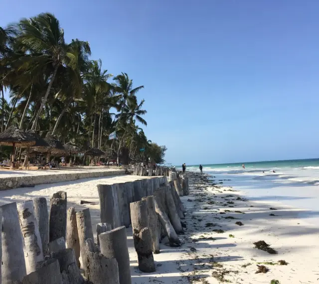 Piękna plaża na Zanzibarze, z palmami, białym piaskiem i turkusową wodą. Widać drewniane pale, które chronią brzeg przed odpływami.