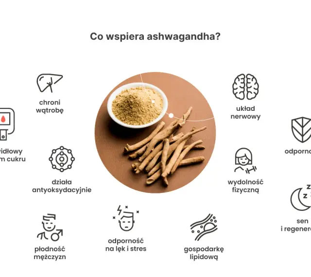 Ashwagandha wspiera układ nerwowy, odporność, płodność, sen i regenerację. Kiedy brać? Warto rozważyć dla poprawy samopoczucia.