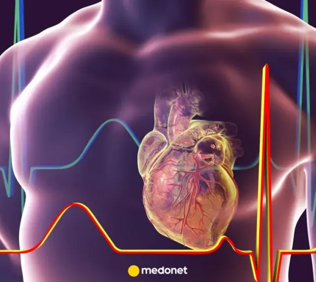 Anatomical serce, widoczne na tle wykresów EKG, znajduje się po lewej stronie klatki piersiowej.
