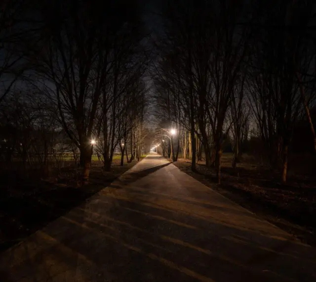 Aleja drzew nocą, oświetlona latarniami. Ciemność i cienie przypominają, jak widzi kurza ślepota.