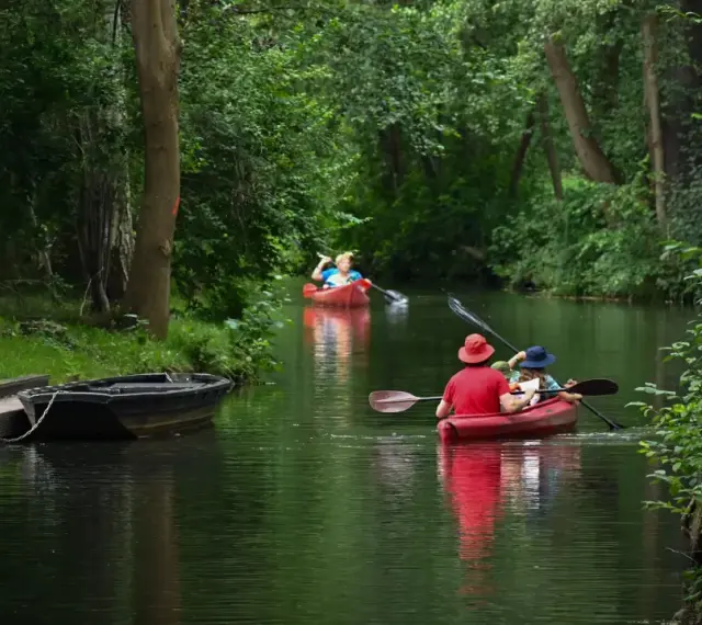 Zwei Kanus auf einem Fluss, umgeben von grünen Bäumen.