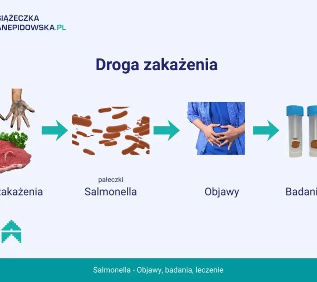 Droga zakażenia Salmonellą: od surowego mięsa i brudnych rąk, przez pałeczki, do objawów bólu brzucha i badania kału.
