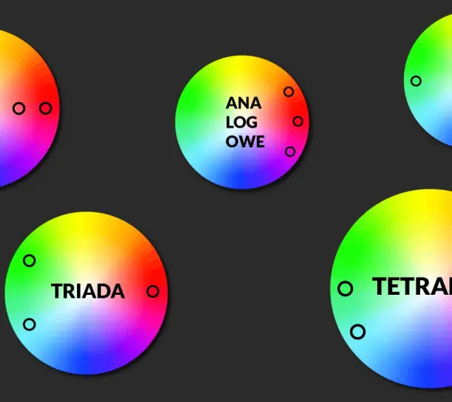 Pięć kół z barwnymi gradientami, ilustrujących różne schematy kolorów: monochromatyczne, analogowe, dopełniające, triady i tetrady. To wizualna paleta RGB.