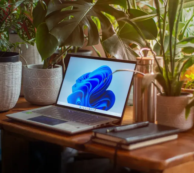 Laptop z systemem Windows 11 otoczony roślinami. Zastanawiasz się, ile zajmuje Windows 11?