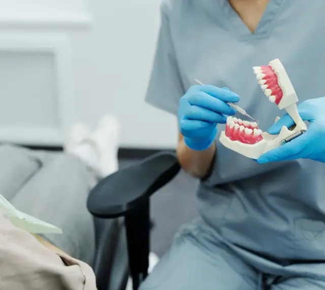 Dentysta pokazuje na modelu, jak radzić sobie z bólem, gdy rosnący ząb mądrości sprawia kłopoty.