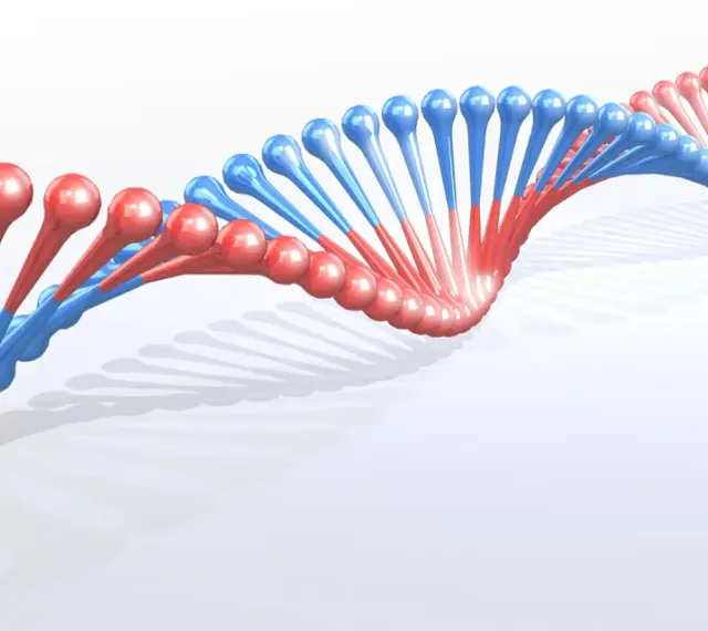 Dwukolorowa, spiralna struktura DNA, przypominająca wijące się wstążki, z czerwonymi i niebieskimi elementami.