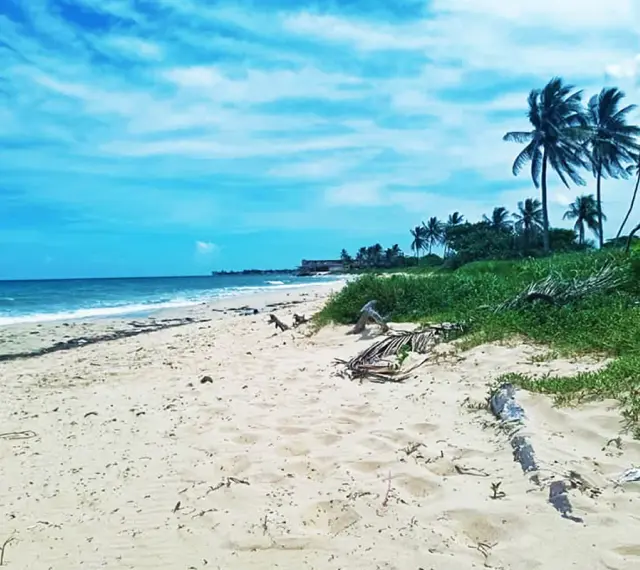 Piękne plaże Kuby z palmami kołyszącymi się na wietrze i turkusowym morzem.