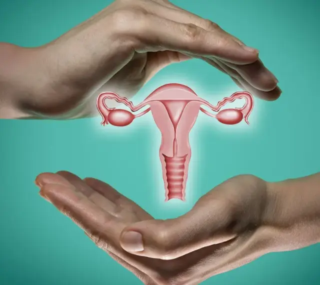 Dwie dłonie otaczają macicę z jajowodami. Ilustracja symbolizuje troskę o długość szyjki macicy w 30 tygodniu ciąży.