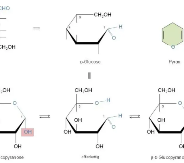 Strukturformeln von Glucose: offenkettige Form, Pyranose-Ring und die Bildung eines Halbacetals in α- und β-Form.