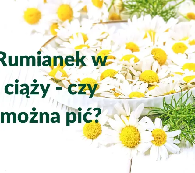 Rumianek w ciąży - czy można pić? Białe kwiaty rumianku w miseczce, symbol spokoju i natury.