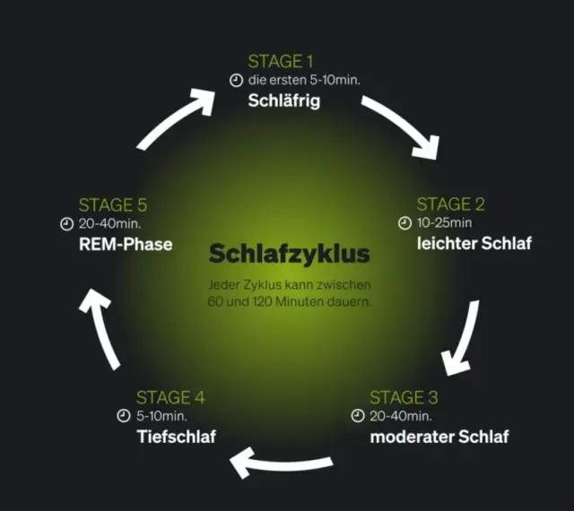 Der Schlafzyklus wird in 5 Stadien unterteilt: schläfrig, leichter Schlaf, moderater Schlaf, Tiefschlaf und REM-Phase. Ein Zyklus dauert 60-120 Minuten.